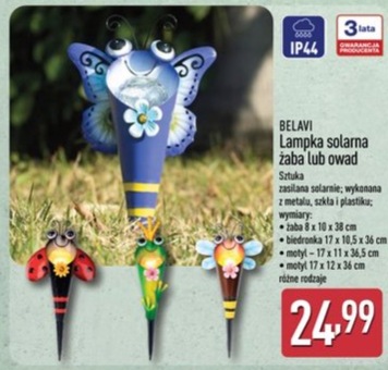 lampka solarna żaba lub owad