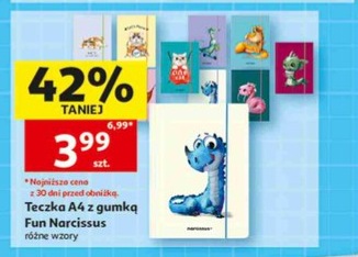 Teczka A4 z gumką Fun Narcissus