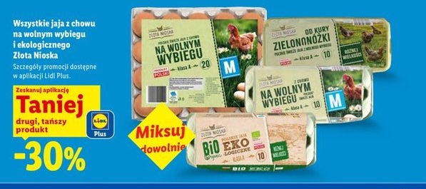 Wszystkie jaja z chowu na wolnym wybiegu i ekologicznego