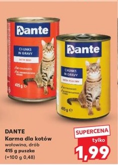 karma dla kotów