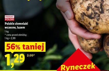 ziemniaki wczesne