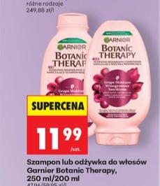 Szampon lub odżywka do włosów Botanic Therapy