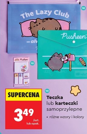 Teczka lub karteczki samoprzylepne