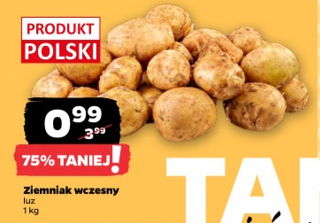 ziemniak wczesny