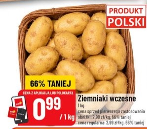 ziemniaki wczesne