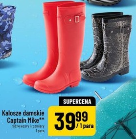 Kalosze damskie