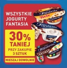 Wszystkie jogurty Fantasia