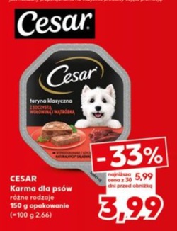 Karma dla psów