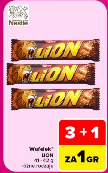 Wafelek LION