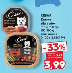 karma dla psów