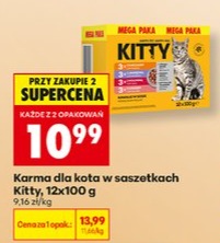 Karma dla kota w saszetkach