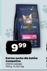 Karma sucha dla kotów