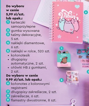 Kołonotes z kolorowymi registrami, długopisy-zakreślacze, zakreślacze lub flamastry dwustronne