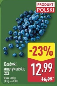 Regularna