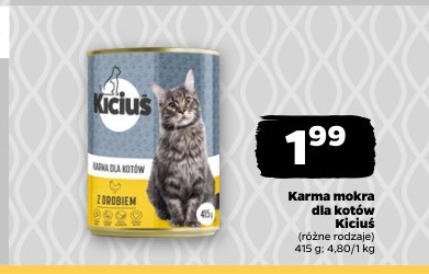 karma mokra dla kotów