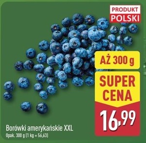 Oferta
