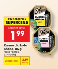 karma dla kota