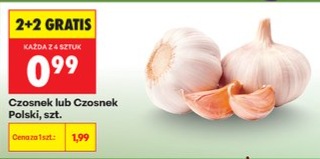 Czosnek