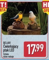 Ćwierkający ptak LED