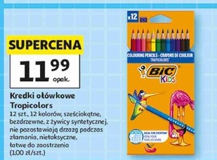 Kredki ołówkowe Tropicolors