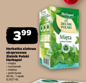 Herbatka ziołowa ekspresowa