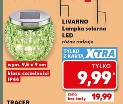 Lampki solarne LED tulipan