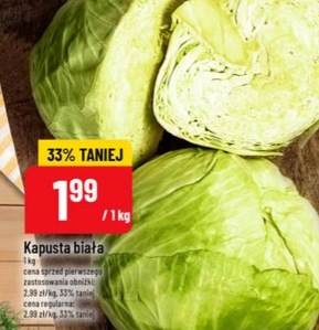 Kapusta biała
