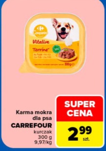 Karma mokra dla psa