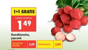 rzodkiewka pęczek