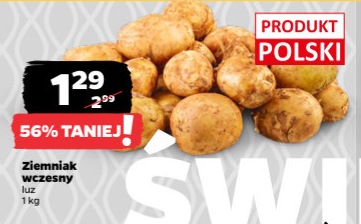 ziemniak wczesny