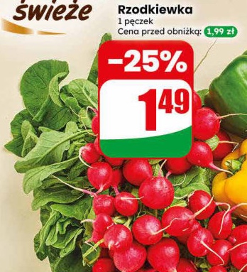 rzodkiewka