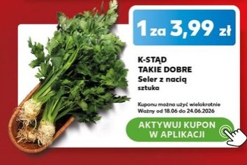 seler z nacią