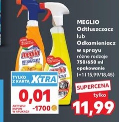 Odtłuszczacz lub Odkamieniacz w sprayu