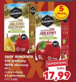 Sok jabłkowy