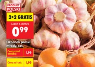 czosnek młody