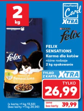 Karma dla kotów