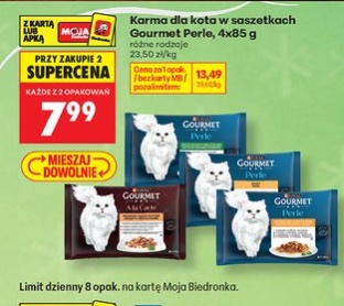 Karma dla kota w saszetkach różne rodzaje