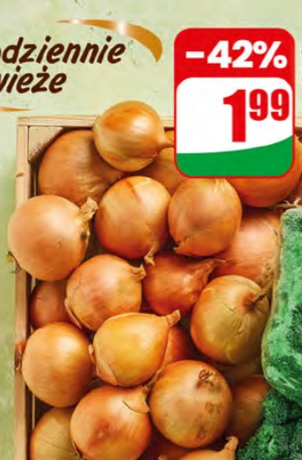 cebula