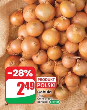 cebula