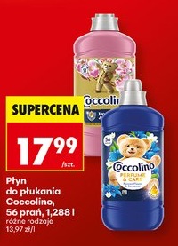 Oferta