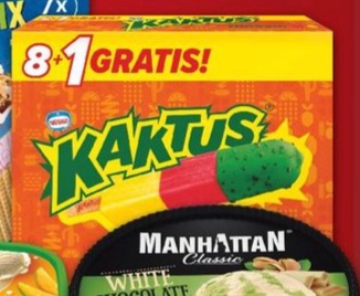 Lody Big Kaktus