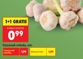 czosnek młody