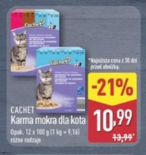 karma mokra dla kota