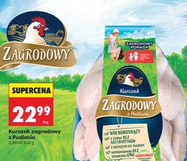 Kurczak zagrodowy z Podlasia