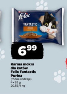 karma mokra dla kotów