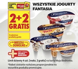 Wszystkie jogurty Fantasia