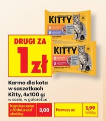 Karma dla kota w saszetkach
