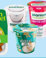 Kefir Gut