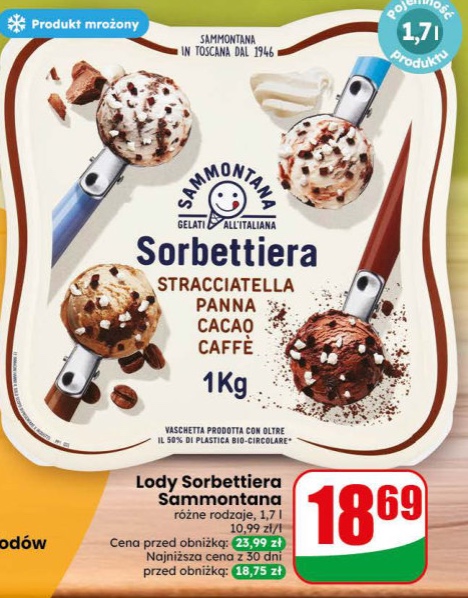 Lody różne rodzaje
