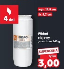 Wkład olejowy